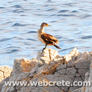 East Crete